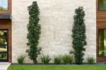 Aura Stone Wall