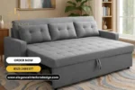 Chic Designer Sleeper Sofa
